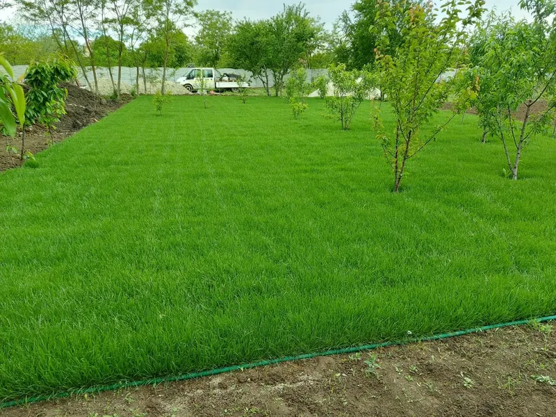 Montaj rulouri de gazon în curte