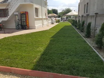 Peluză îngrijită după montaj