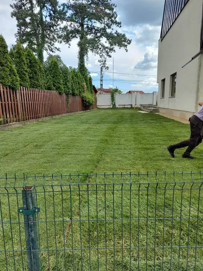 Gazon după întreținere