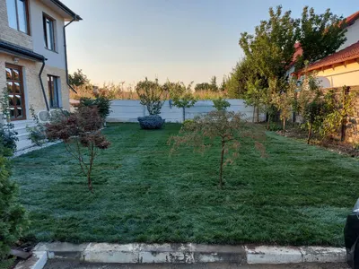 Amenajare curte — proiect realizat