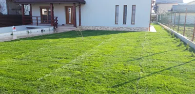 Amenajare curte — proiect realizat