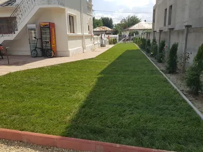 Întreținere curte, montaj rulouri gazon