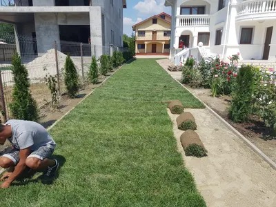 Amenajare curte — proiect realizat