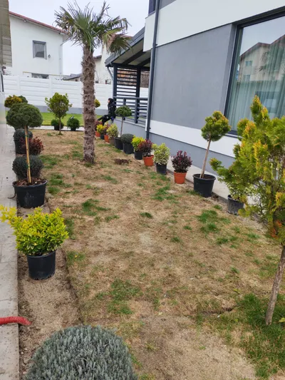 Amenajare curte — proiect realizat