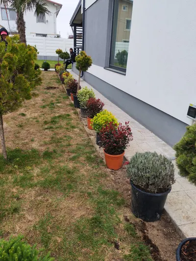 Amenajare curte — proiect realizat